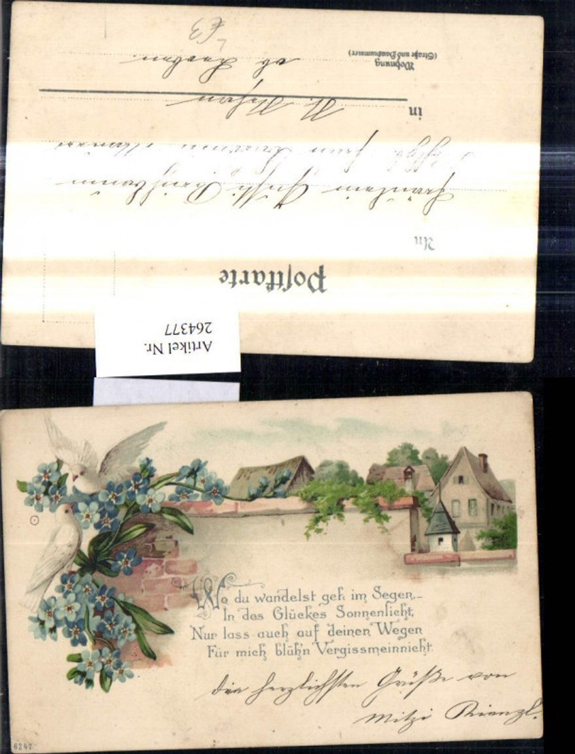 264377, Lithograph Pigeons on a Wall Forget-me-not Saying Text