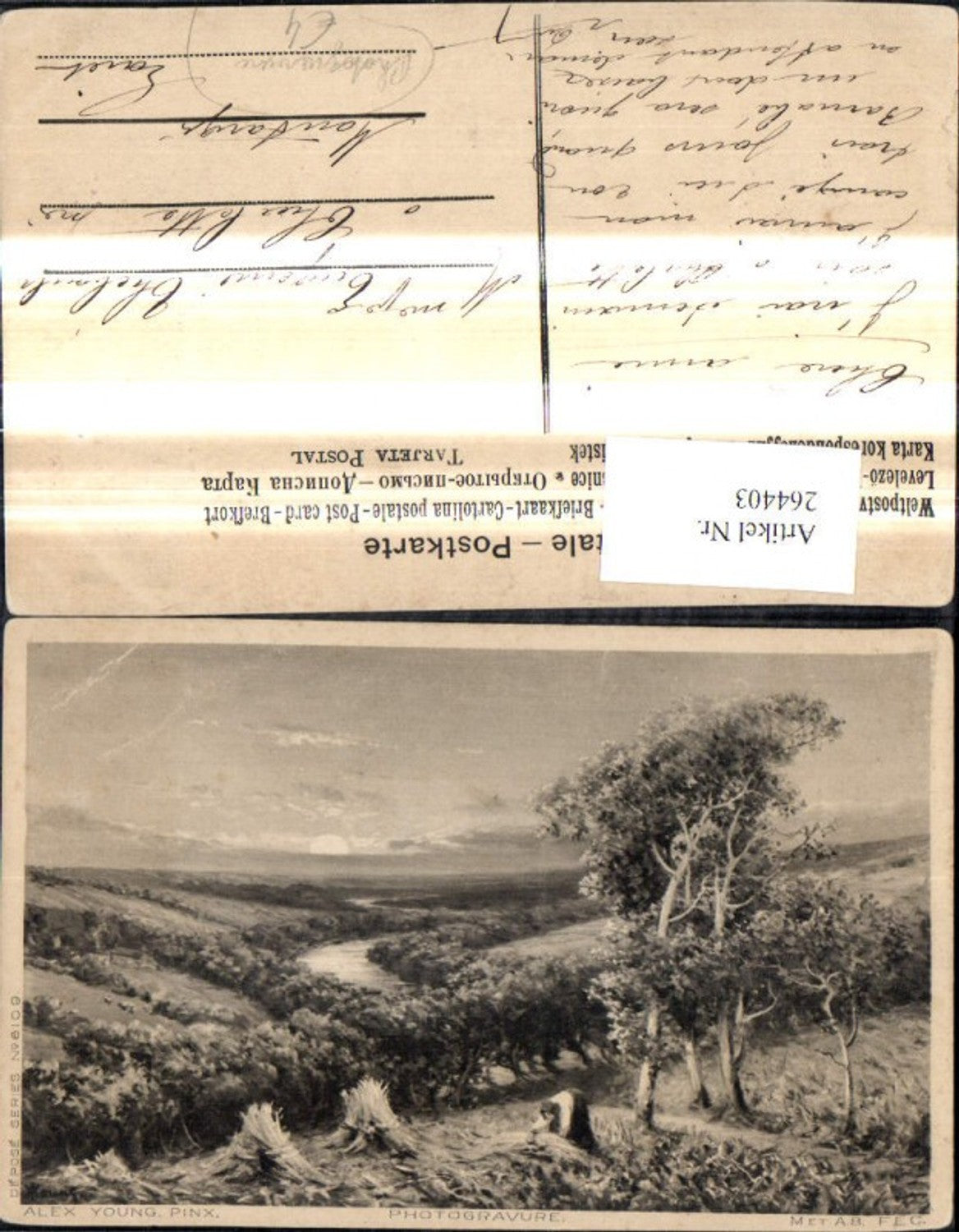 264403,Künstler Ak Alex Young Frau b. Ernte Heinzen Heureiter Landschaft Photogravure