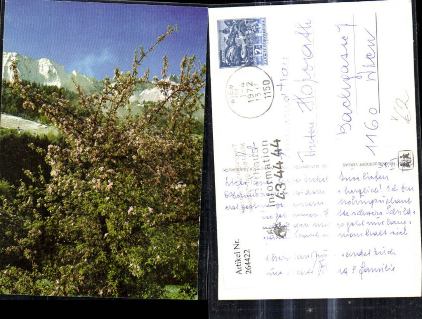264422,SOS Kinderdorf Baumblüte v. Bergkulisse