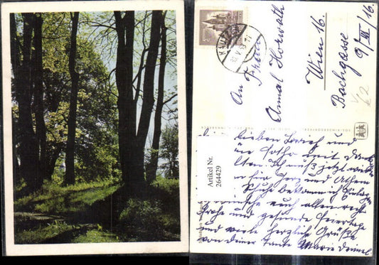264429,SOS Kinderdorf Schloßpark b. Amras Innsbruck Wald Bäume