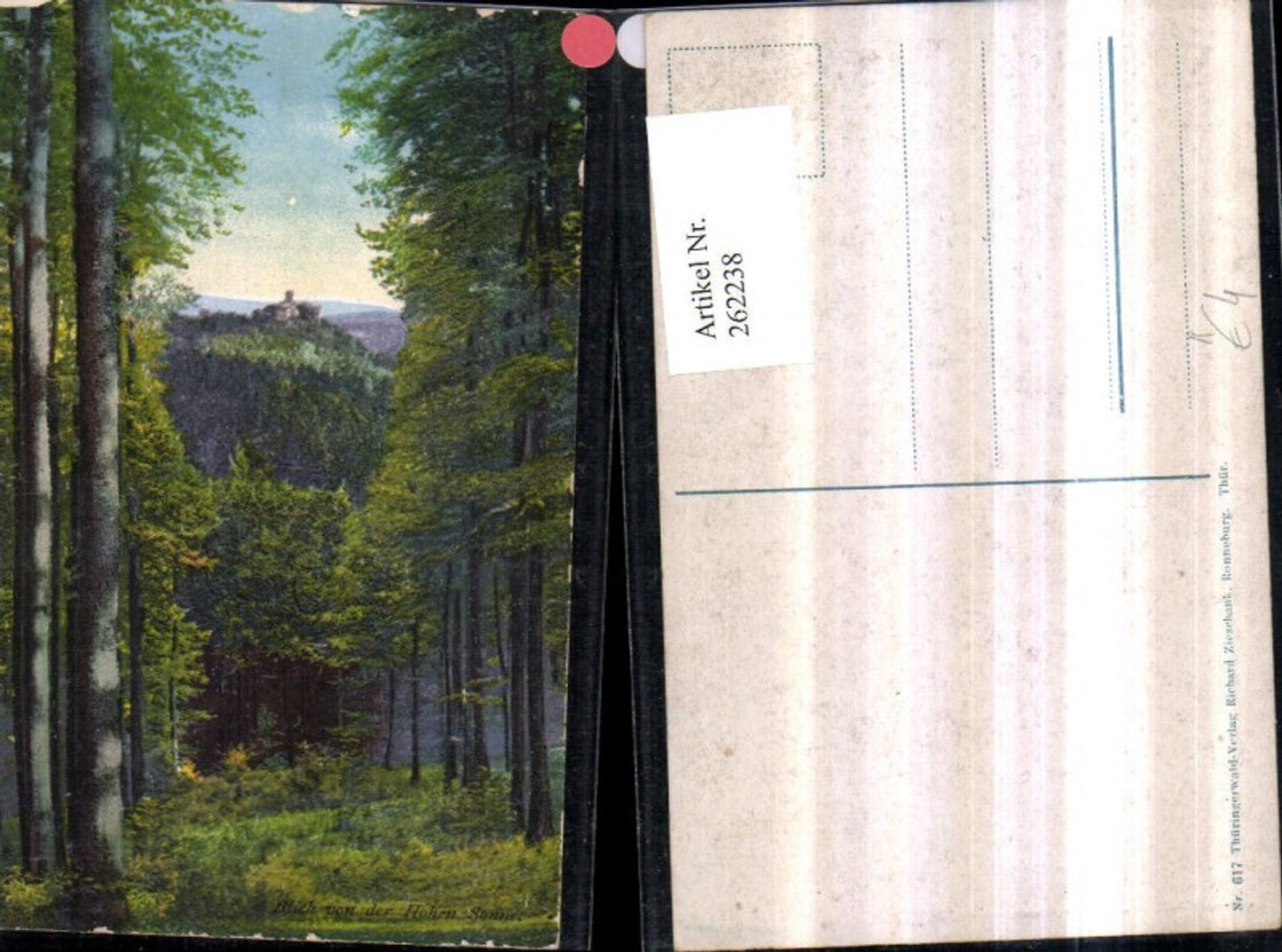 262238, Artist AK View from the Hohe Sonne to the Wartburg