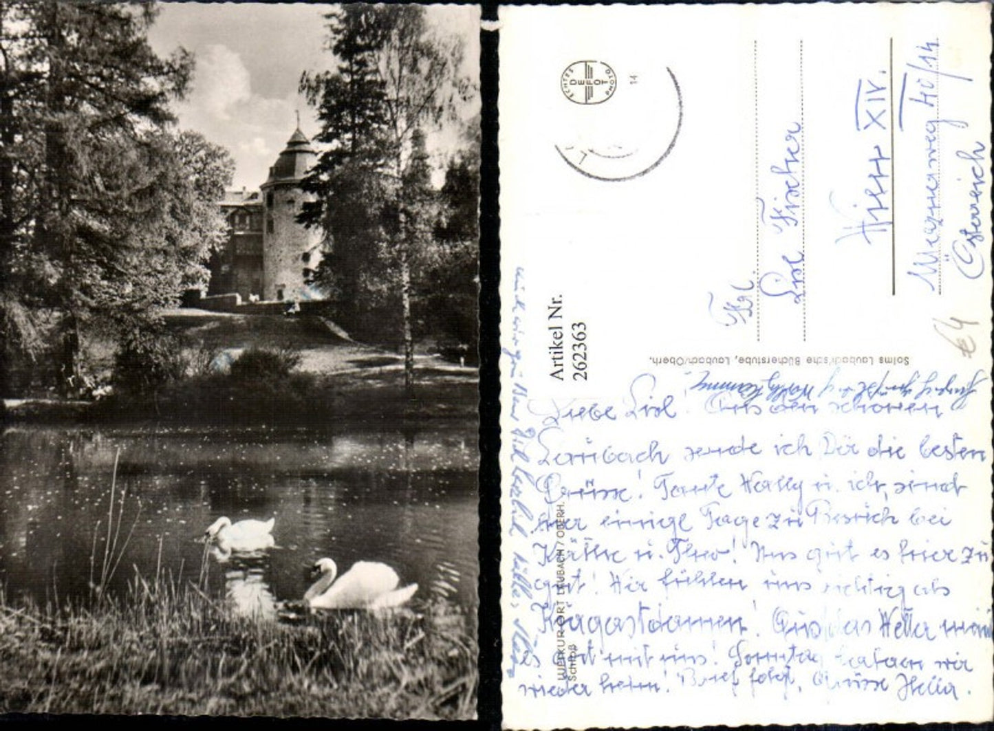 262363,Laubach Schloss Partie Schwäne