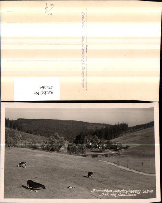 275564,Oberhirschsprung b. Altenberg im Erzgebirge Blick vom Buschhaus