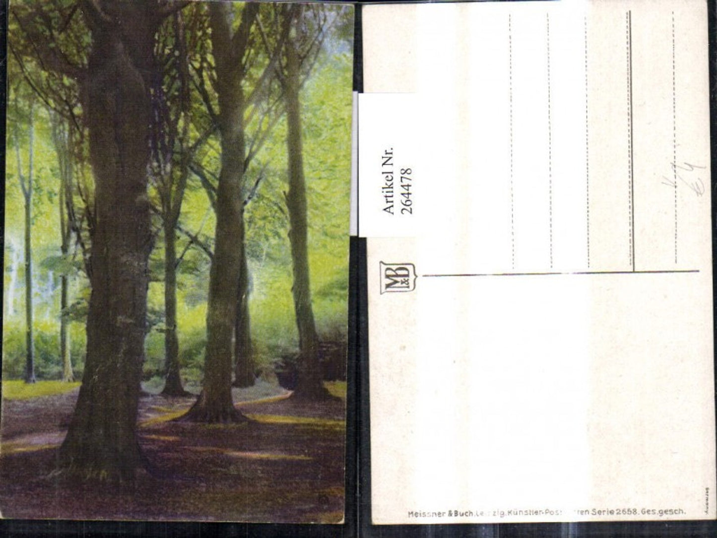 264478,Künstler Ak Meissner & Buch 2658 Wald Landschaft