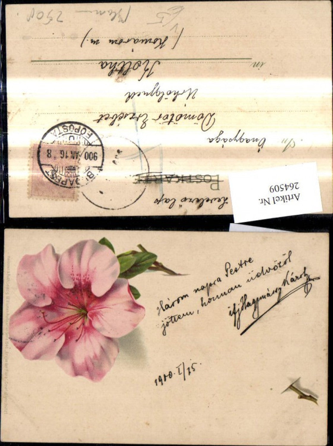 264509,Künstler Ak Meissner & Buch 1040 Grüße d. Flora Blume Rosa Hibiskusblüte Hibiskus