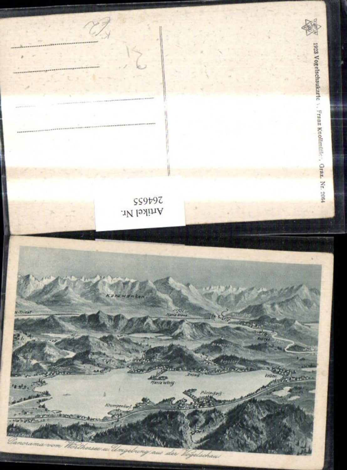 264655,Künstler Ak Eugen Felle Panorama v. Wörthersee u. Umgebung a. d. Vogelschau Velden Maria Wörth Karawanken