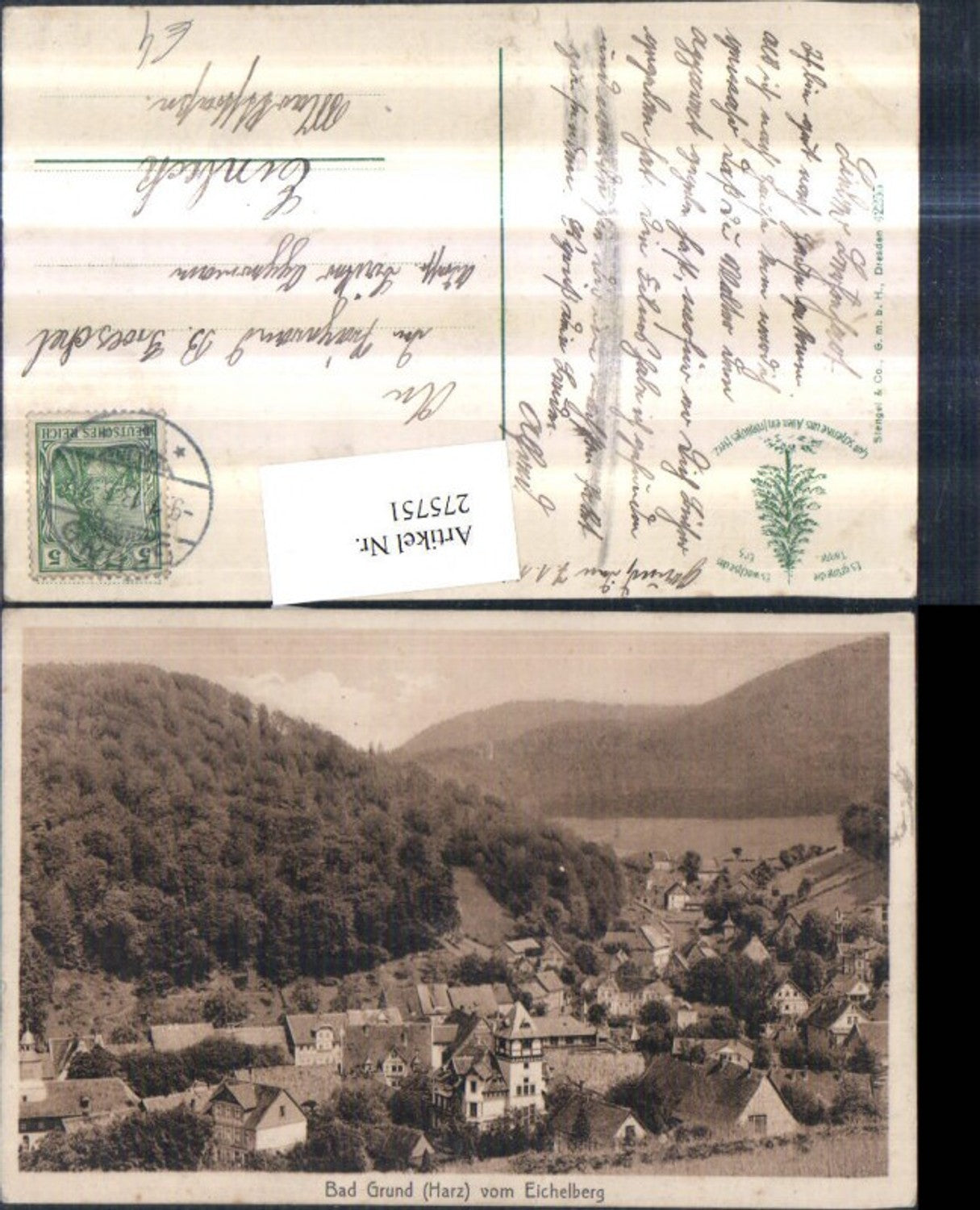 275751,Bad Grund im Harz Totale vom Eichelberg