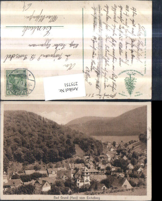 275751,Bad Grund im Harz Totale vom Eichelberg