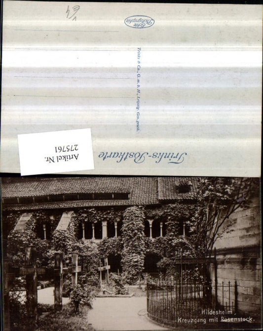 275761,Hildesheim Kreuzgang m. Rosenstock pub Trinks u. Co