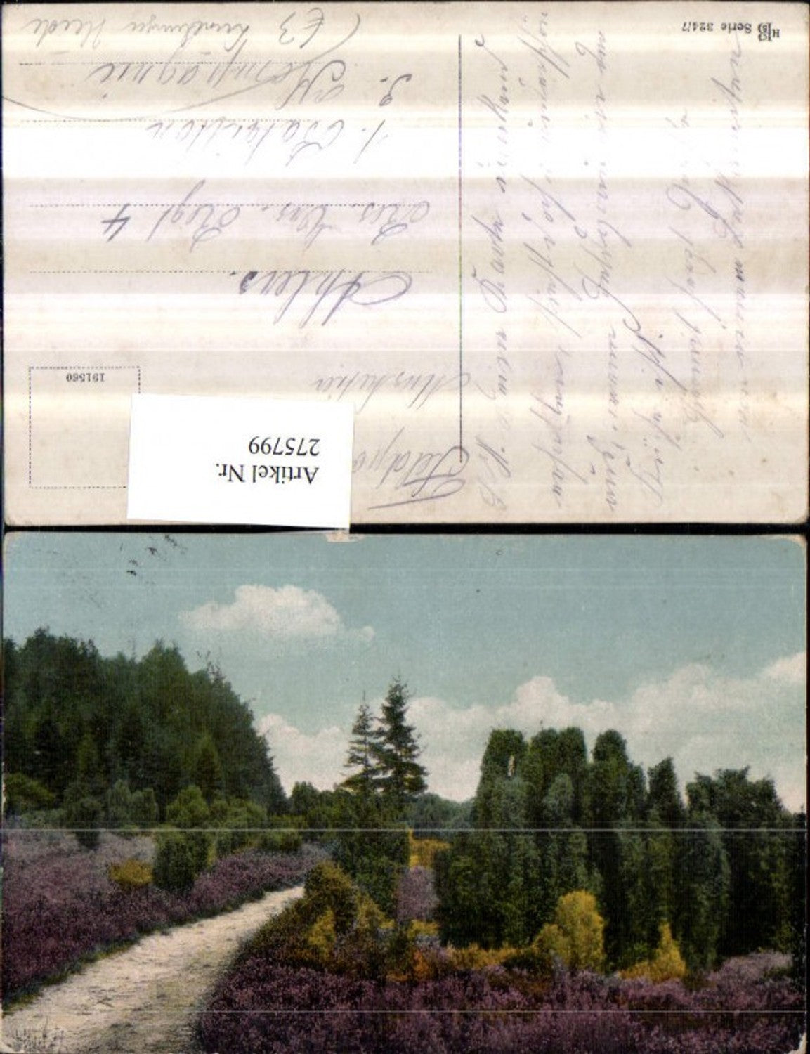 275799,Lüneburger Heide Wegpartie