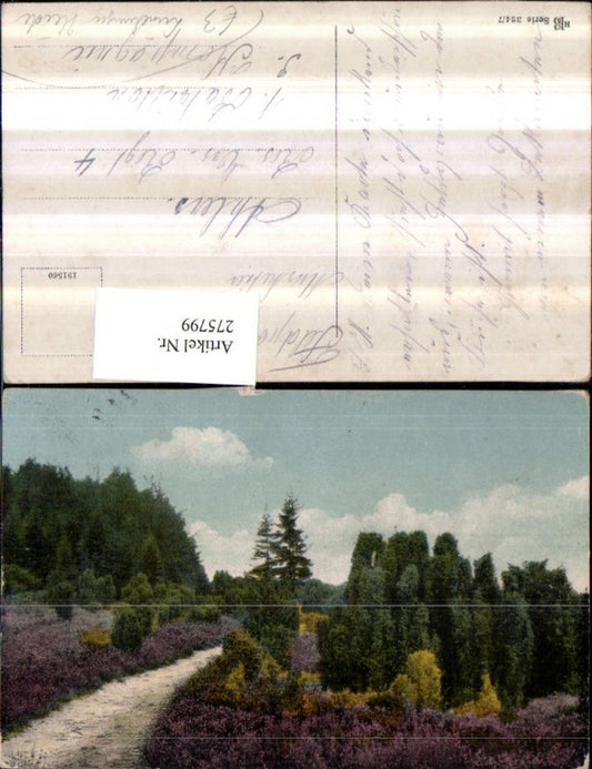 275799,Lüneburger Heide Wegpartie