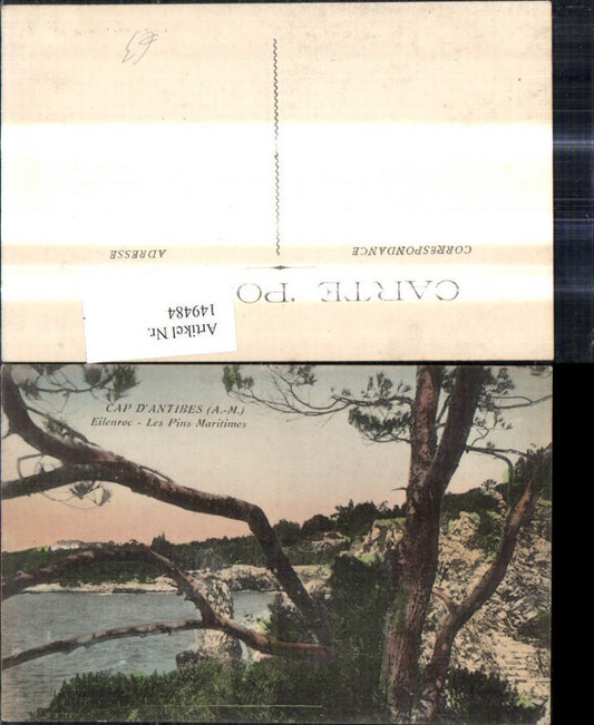 149484,Cap D Antibes Eilenroc Les Pins Maritimes Küste Bäume