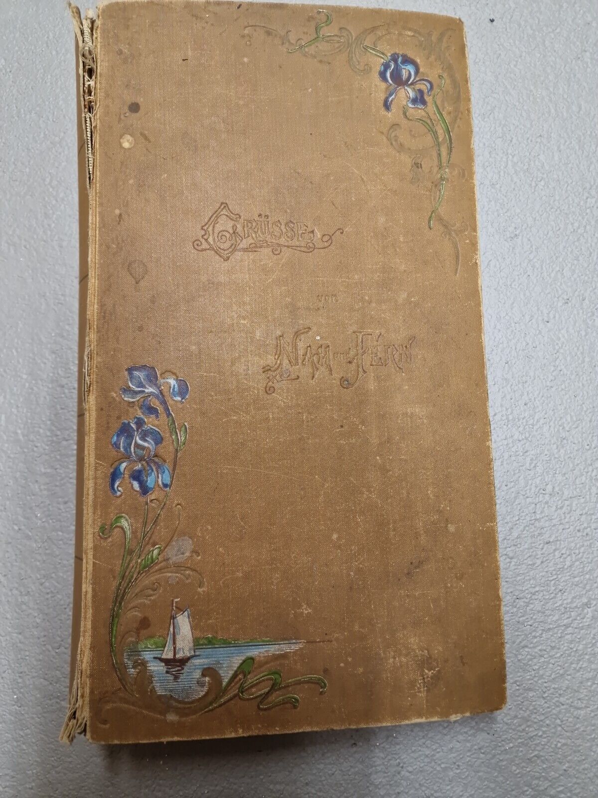 Altes Jugendstilalbum Ansichtskartenalbum Ansichtskarten Album für 408 AK