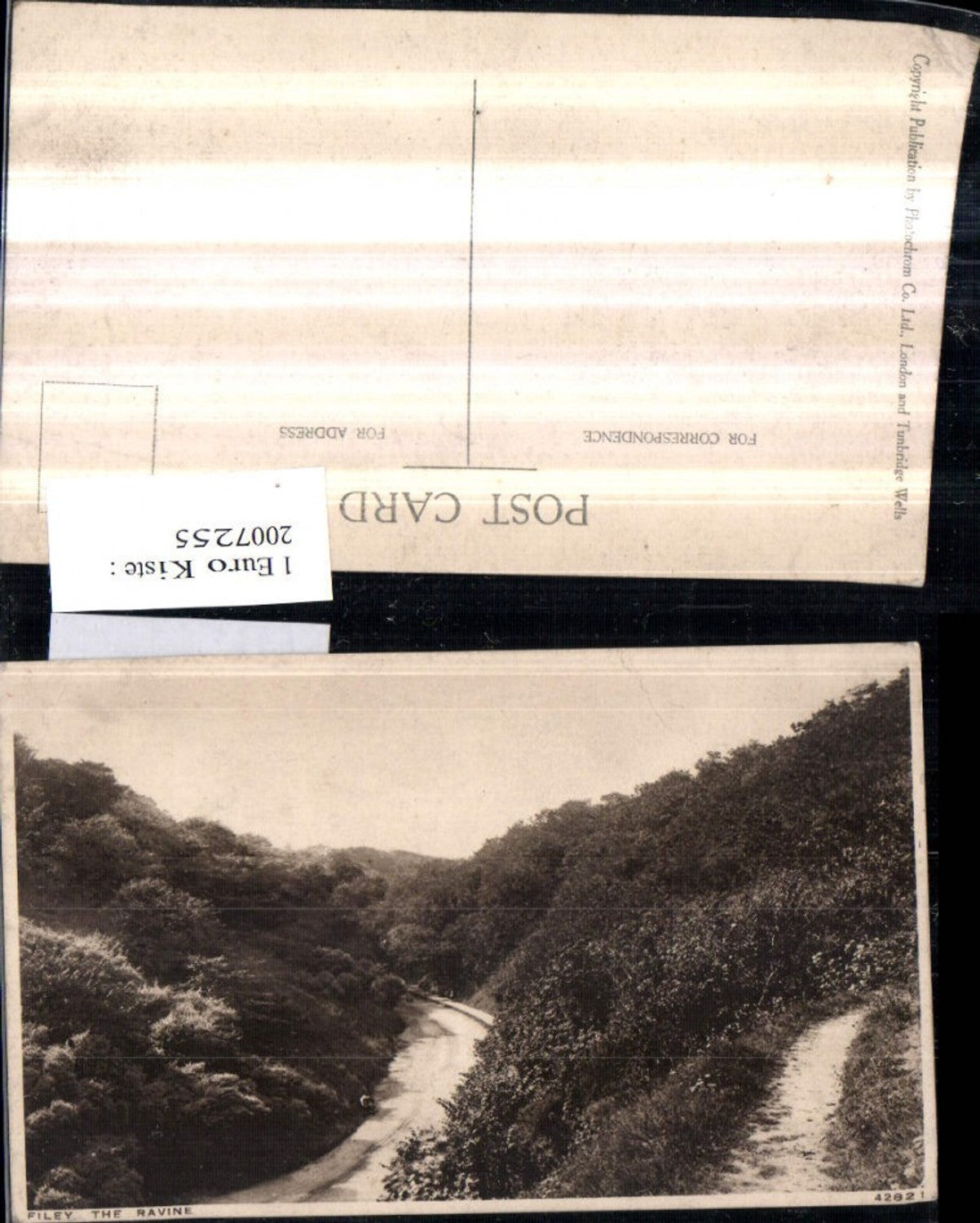 2007255,England Filey the Ravine Partie