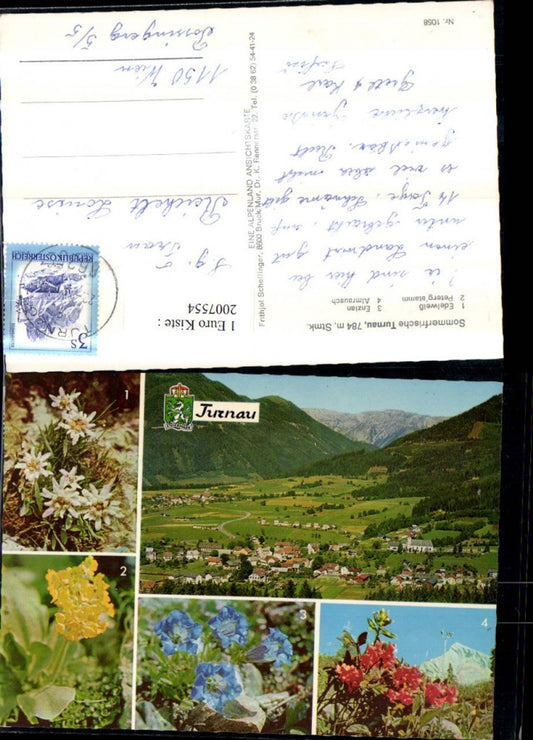 2007554,Turnau Totale Bergkulisse Edelweiß Enzian Himmelschlüssel Almrausch Mehrbildkarte