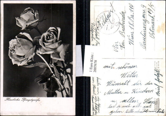 2007678,Pfingsten Rosen Rosenblüte