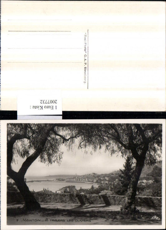 2007732,Menton A Travers les Oliviers Totale