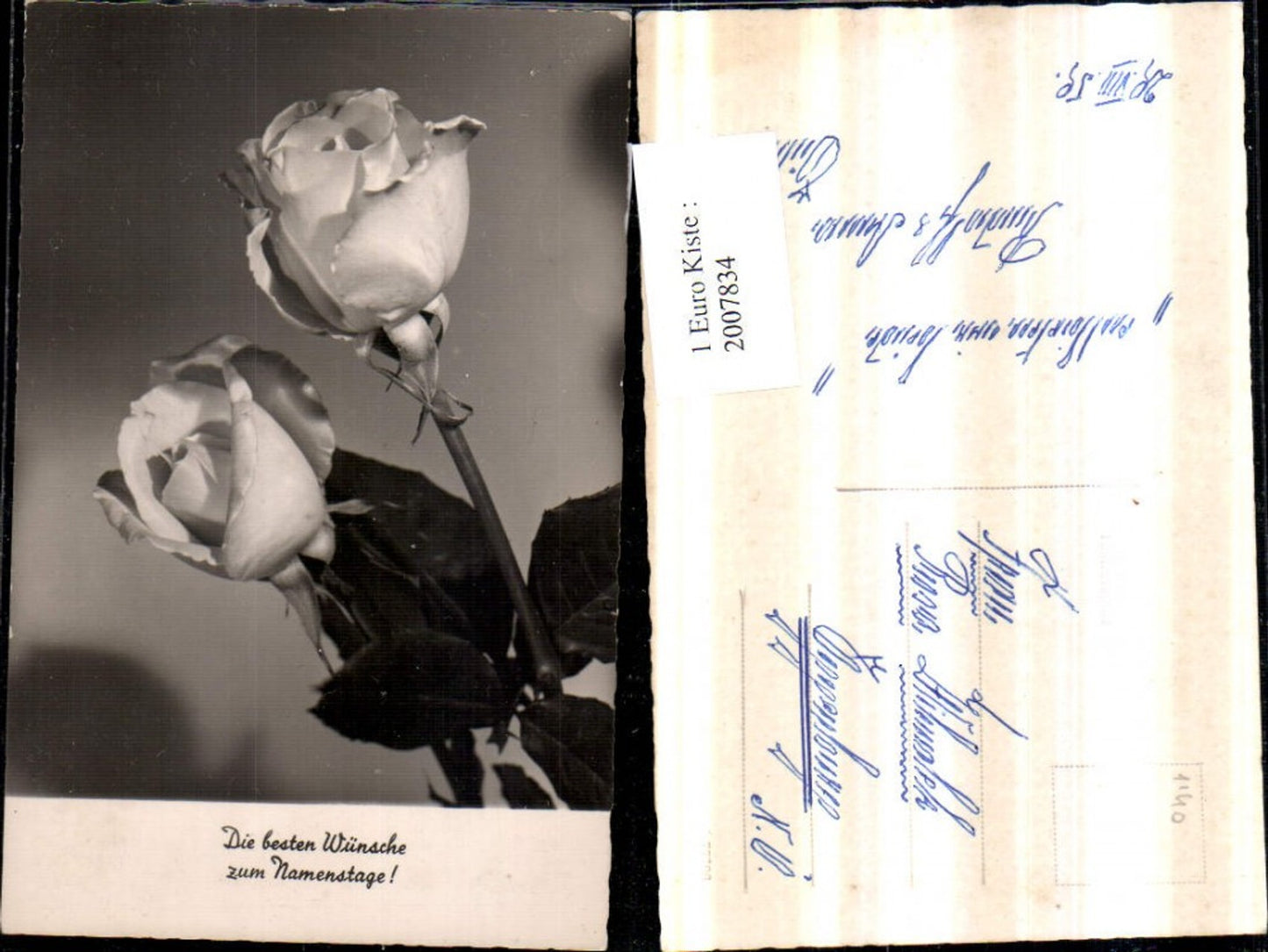 2007834,Namenstag Rosen Rose