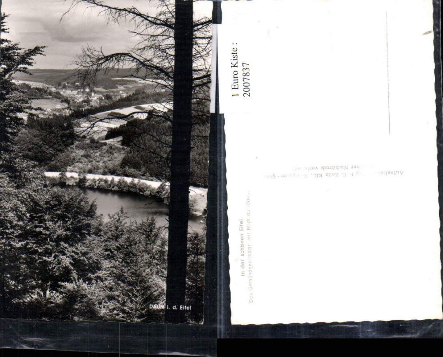 2007837,In d. Eifel Gemündenermaar m. Blick auf Daun Totale