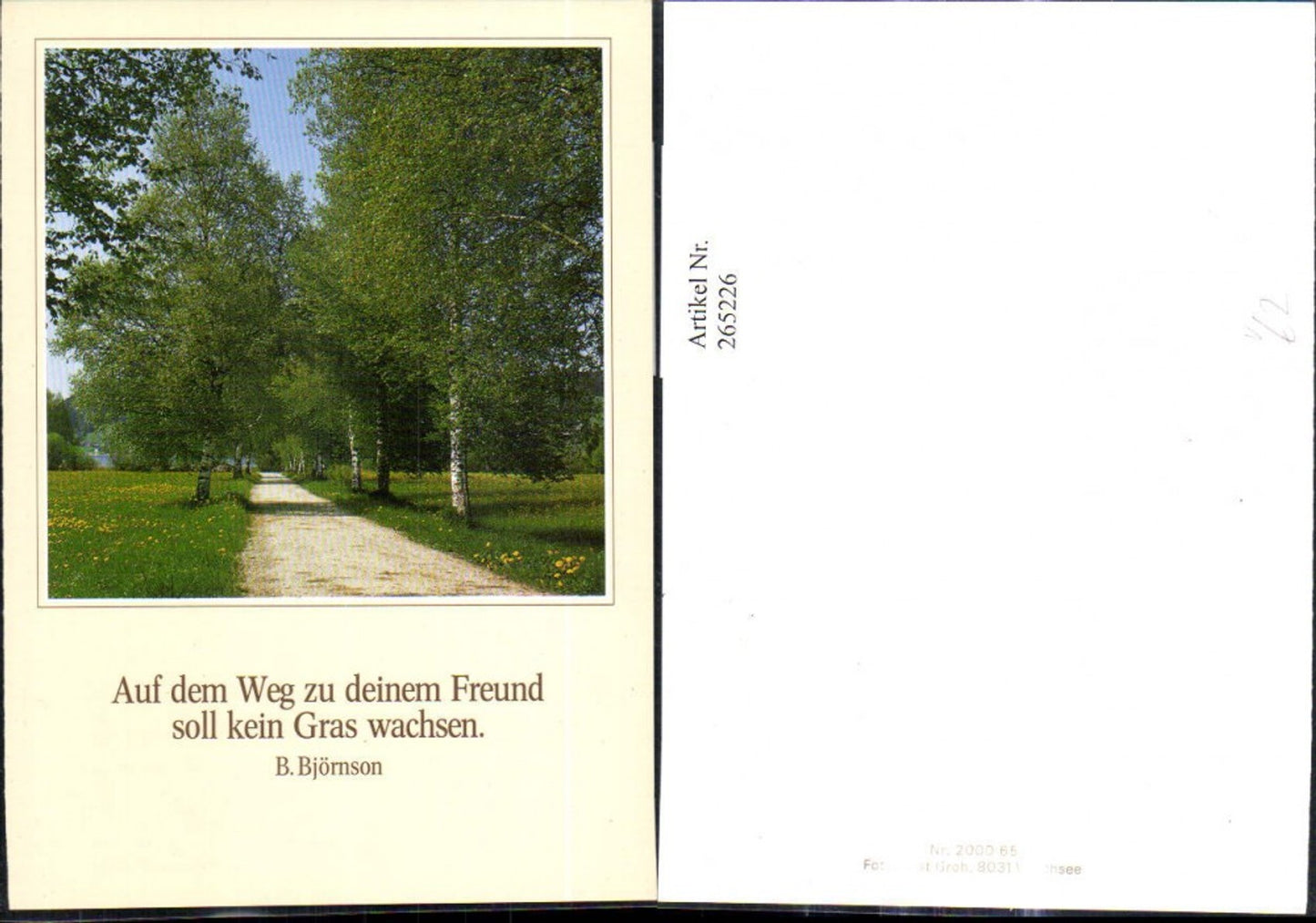 265226,Photo art Groh 200065 Way Street Tree-lined avenue Avenue Birch trees Saying B. Björnson