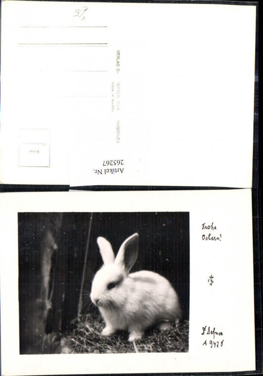 265267,Fotokunst Dr. Defner A 9475 Hase Frohe Ostern