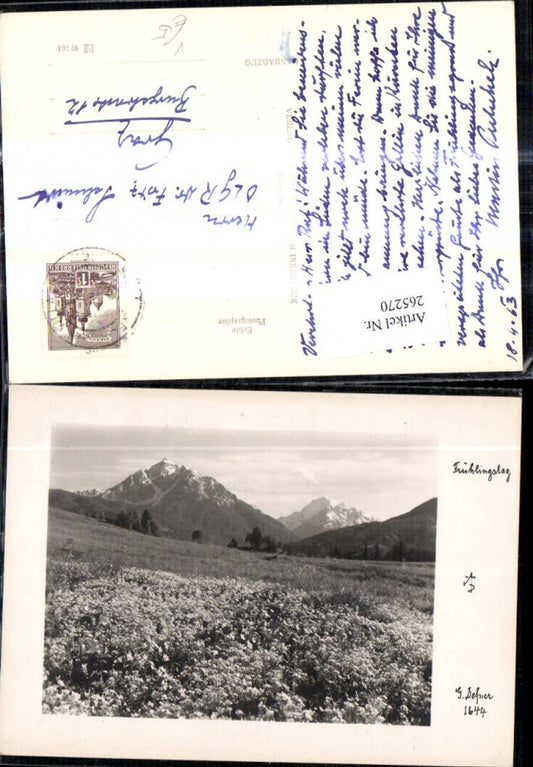 265270,Photographic Art Dr. Defner 1644 Flower Meadow Mountain Scenery Spring Day