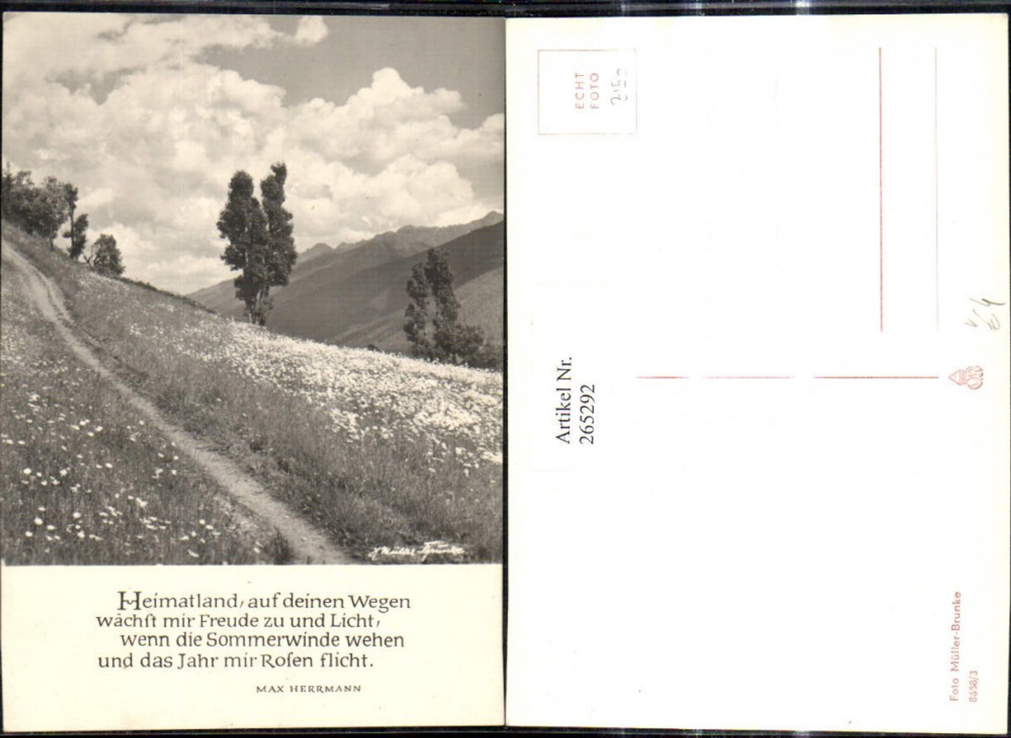 265292,Fotokunst Foto Müller-Brunke 8658/3 Weg Blumenwiese Landschaft Spruch Max Herrmann