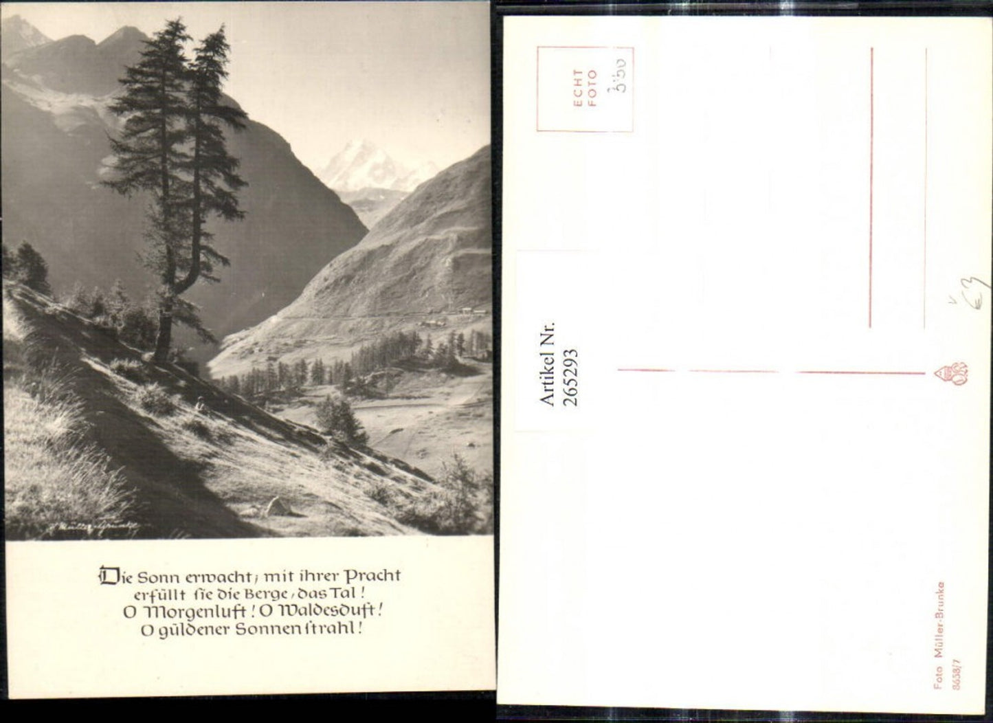 265293,Fotokunst Foto Müller-Brunke 8658/7 Landschaft Berge Baum Wald Spruch