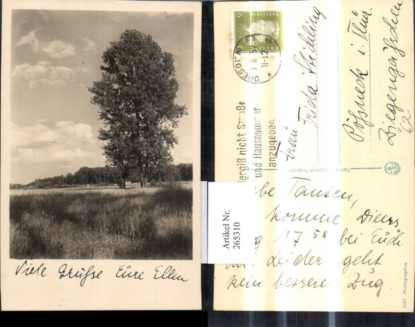 265310,Fotokunst Carl A. E. Schmidt Dresden Baum Wiese Landschaft