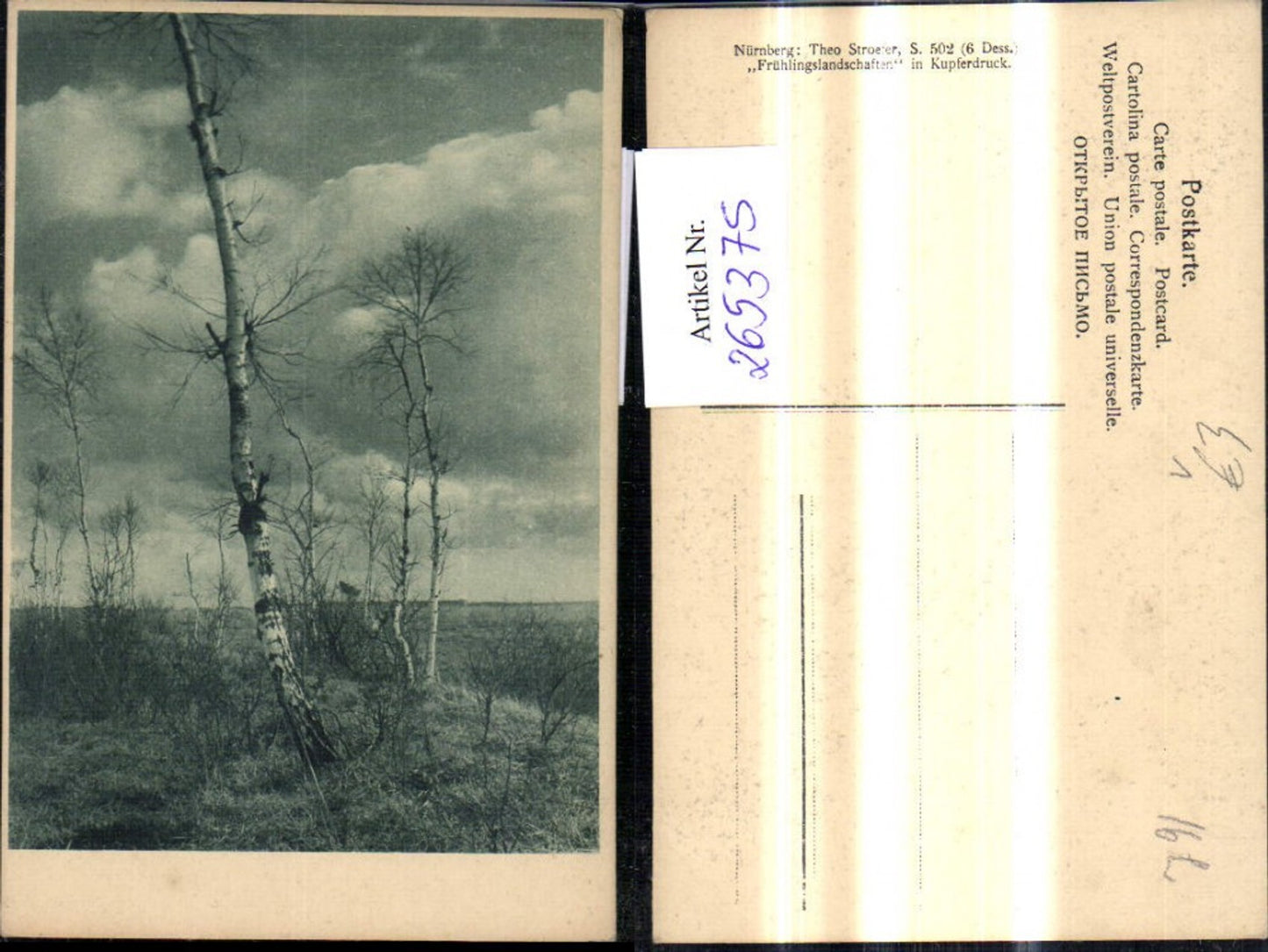 265375,Theo Stroefer S 502/6 Birke Bäume Birken Landschaft