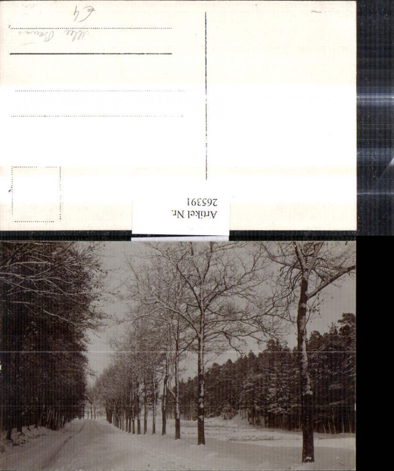 265391,Fotokunst Allee Bäume Winteransicht