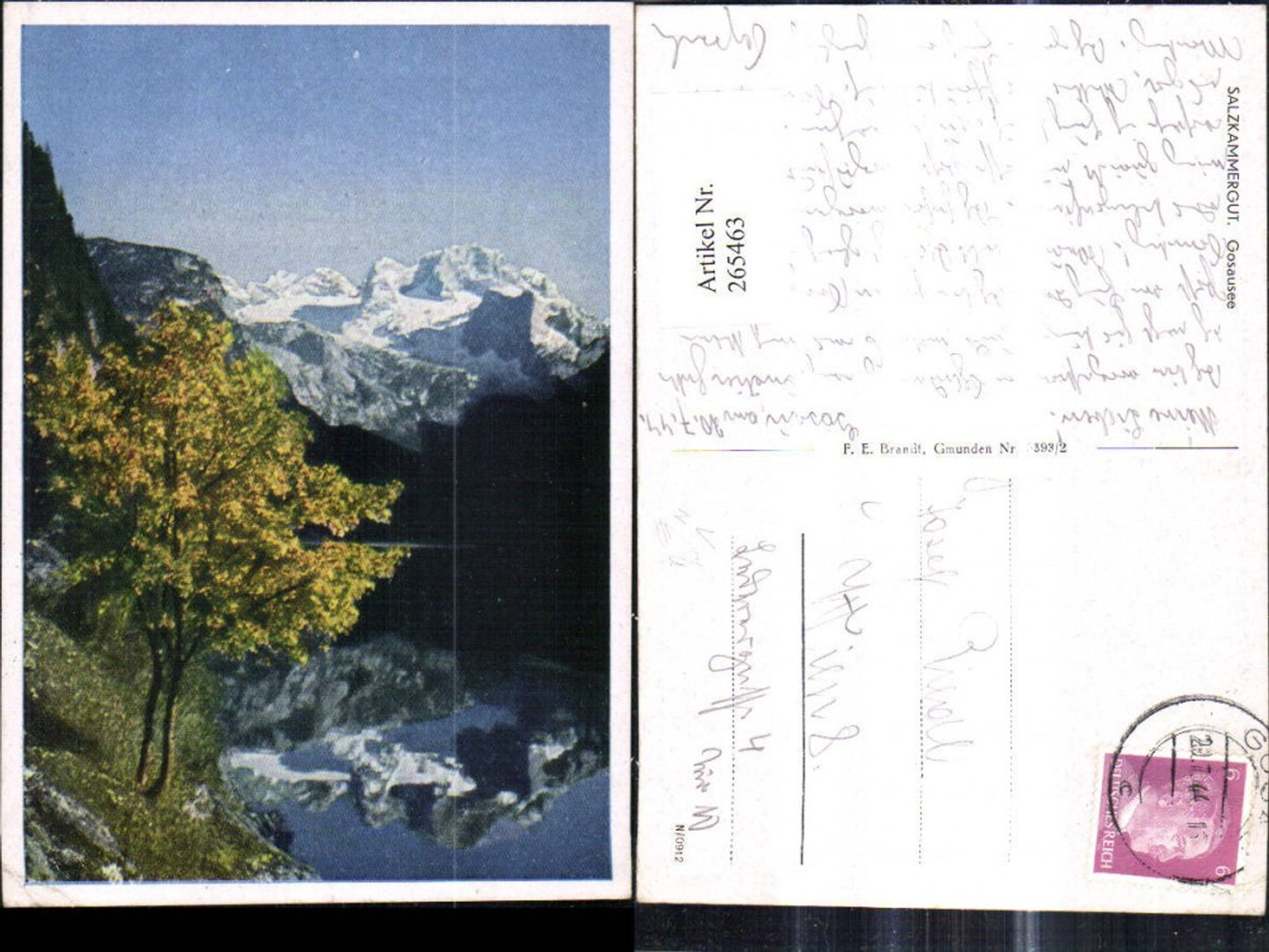 265463,Salzkammergut Gosausee Gosau pub F. E. Brandt 5393/2