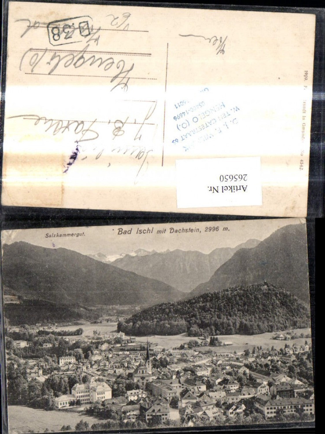 265650,Bad Ischl m. Dachstein Salzkammergut Totale pub F. E. Brandt 4542