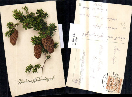 265870, Artist Ak Christmas Fir branch with cones