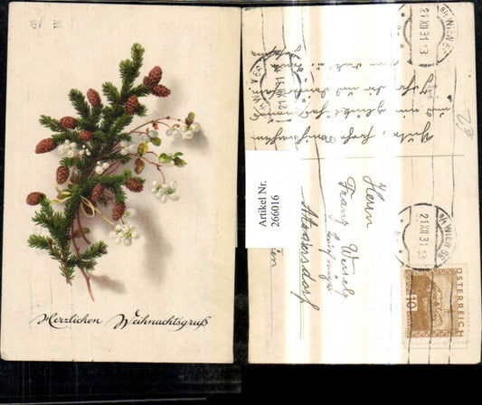 266016, Artist Ak Christmas Fir branch Cone Bow Flowering branch