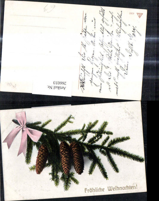 266033, Artist Ak Christmas Fir branch Cone Bow