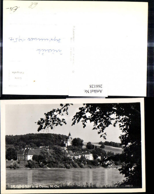 266128,Foto Ak Säusenstein a. d. Donau Ansicht v. anderen Ufer Baum i. Vordergrund 1954