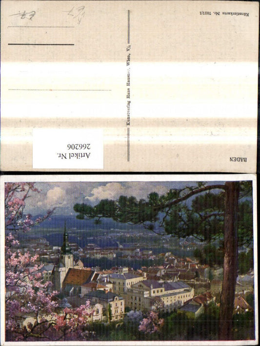 266206,Künstler Ak Baden Teilansicht pub Hans Hausner 7017/1