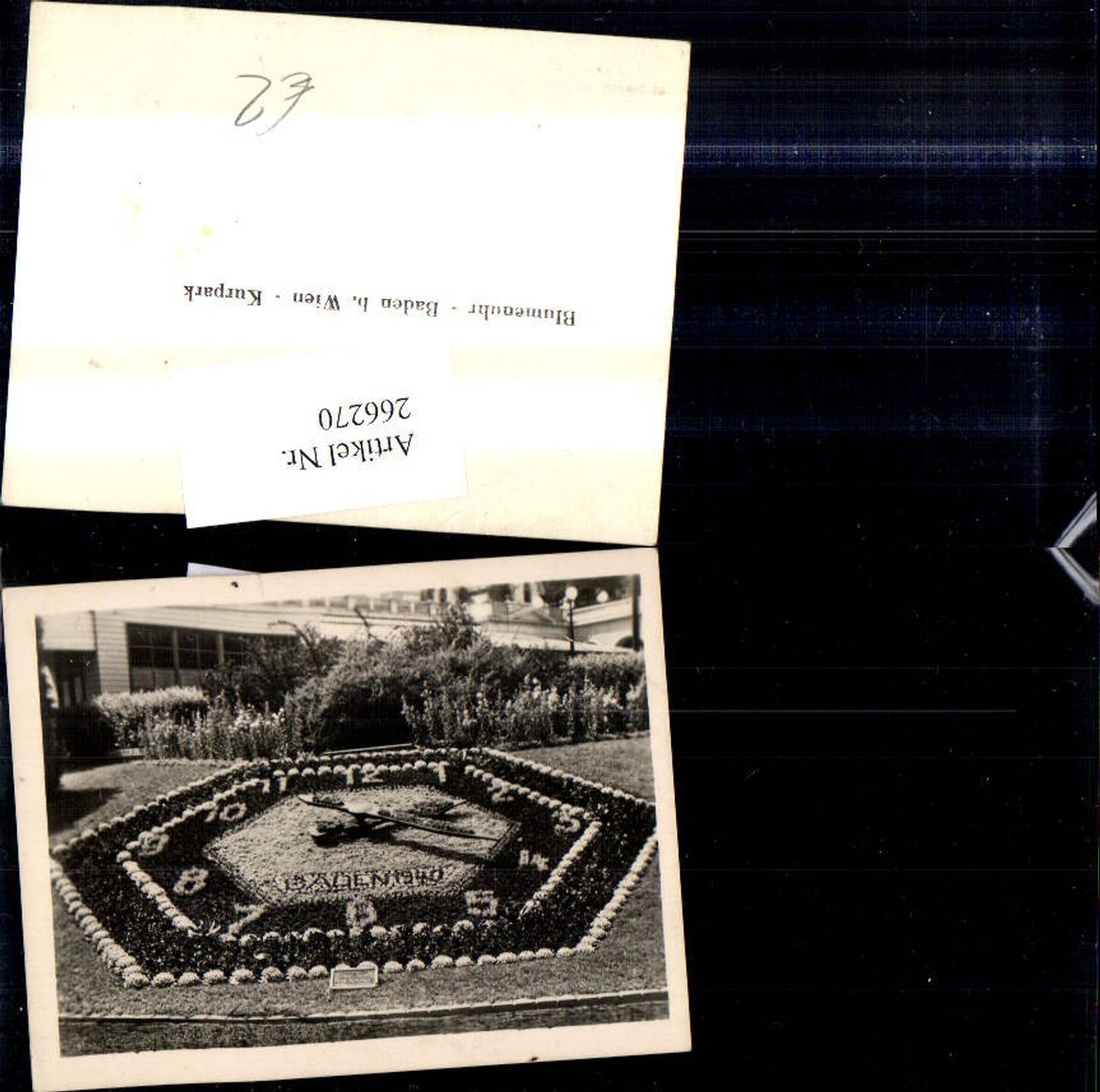 266270,Foto Baden b. Wien Kurpark Blumenuhr