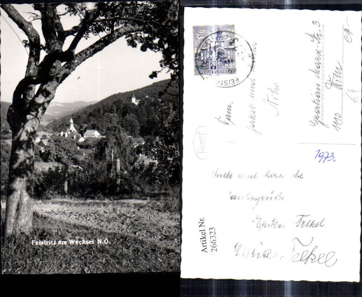 266323,Foto Ak Feistritz a. Wechsel Ansicht m. Baum i. Vordergrund
