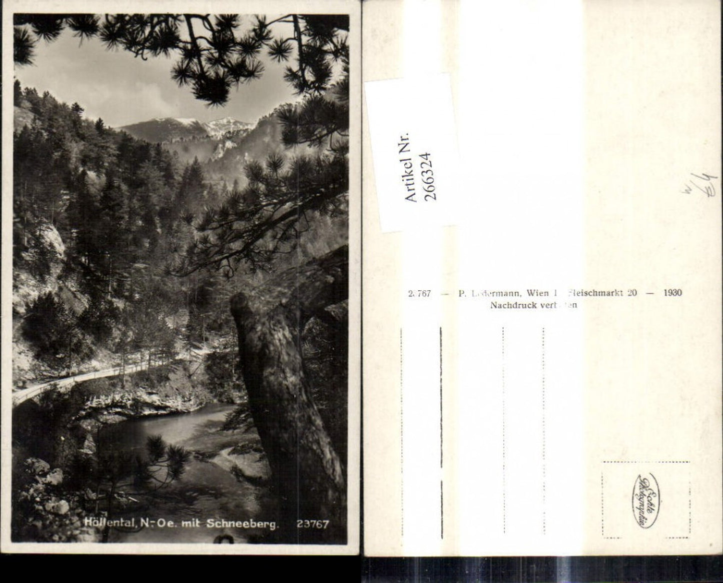 266324,Foto Ak Höllental m. Schneeberg b. Kaiserbrunn