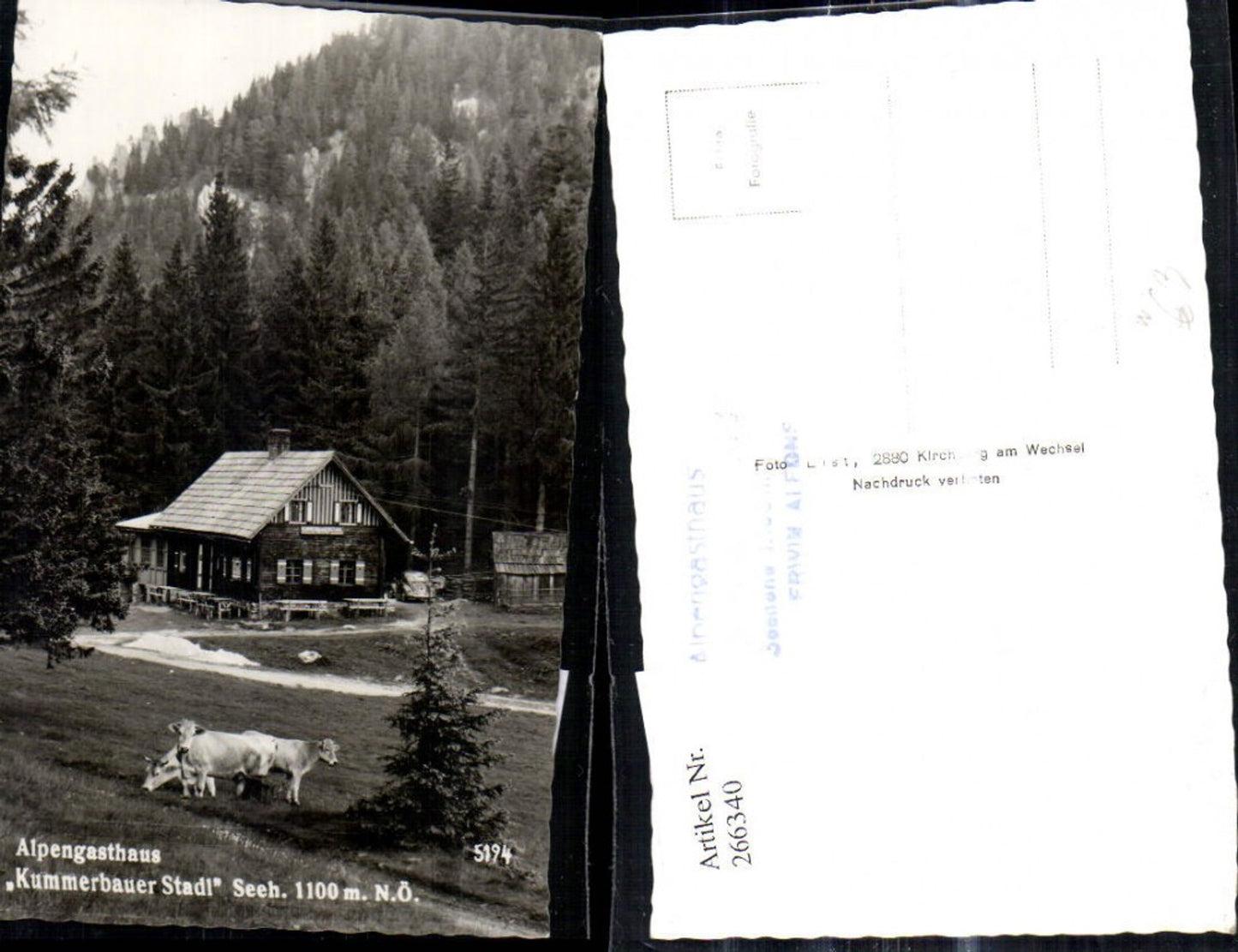 266340,Foto Ak Alpengasthaus Kummerbauer Stadl b. Trattenbach Kühe i. Vordergrund