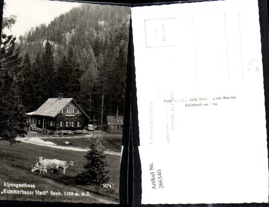 266340,Foto Ak Alpengasthaus Kummerbauer Stadl b. Trattenbach Kühe i. Vordergrund