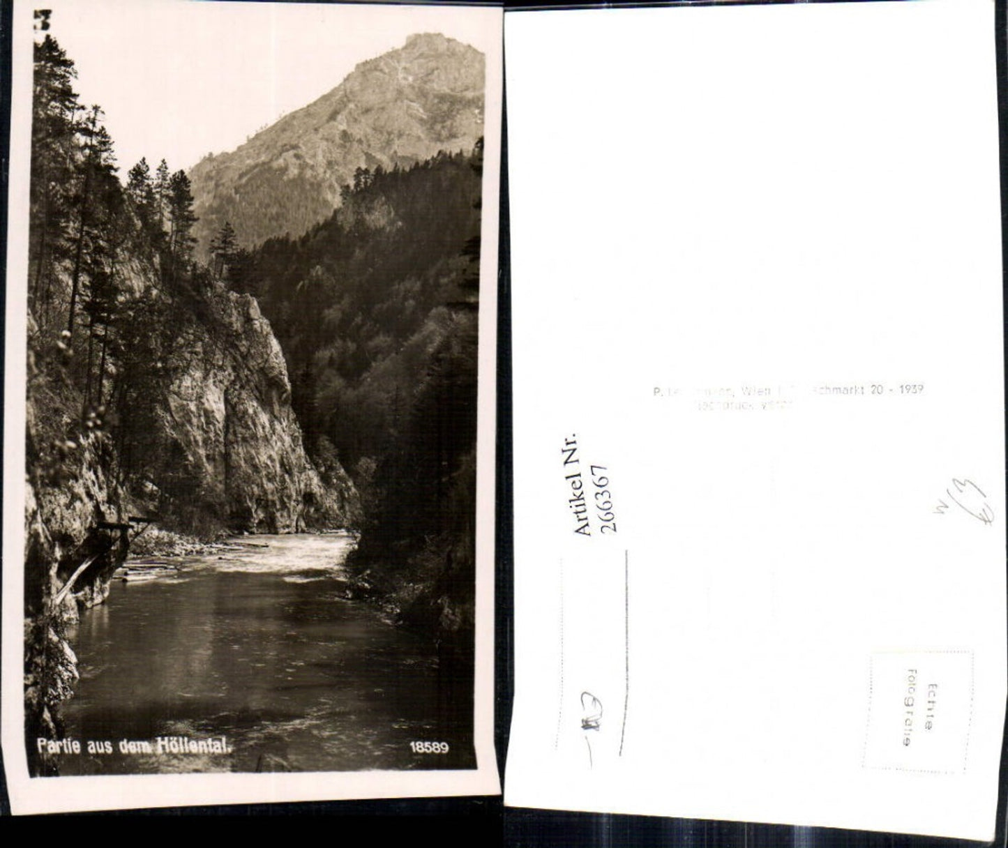 266367,Foto Ak Partie a. d. Höllental Schwarzau i. Gebirge