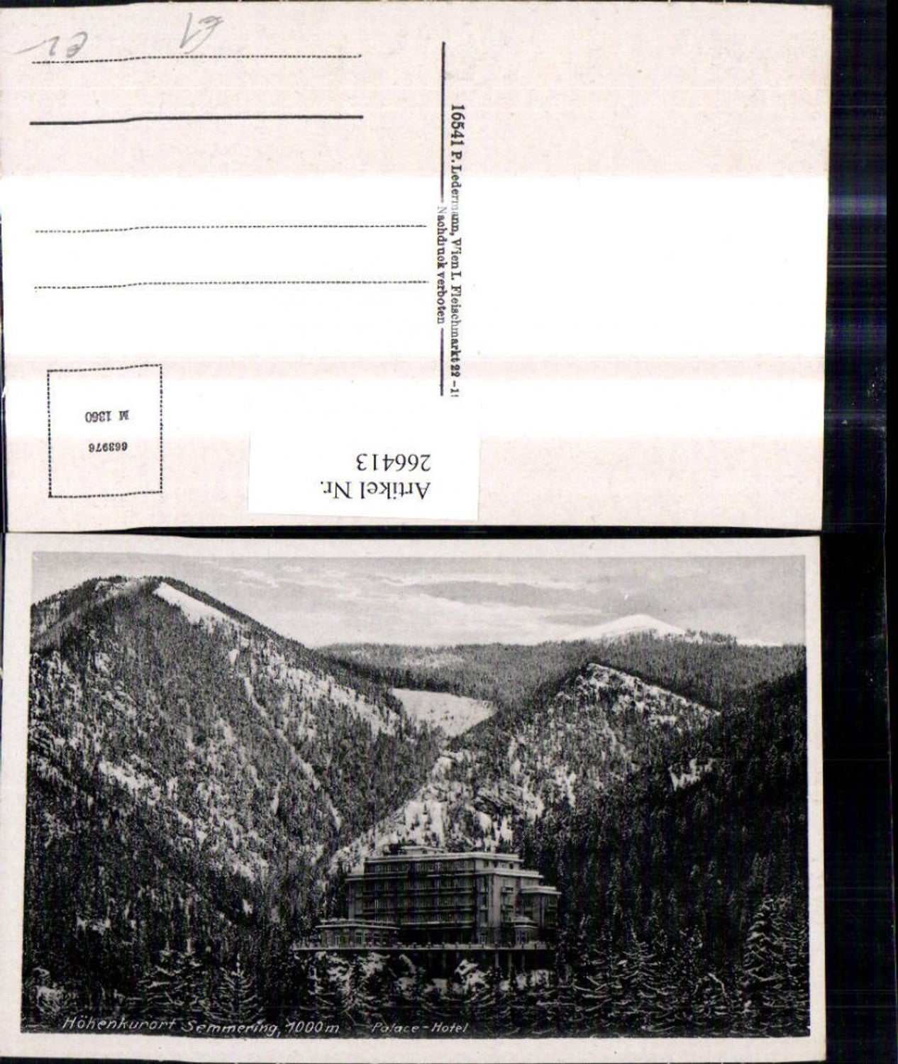 266413,Semmering Palace Hotel Winteransicht