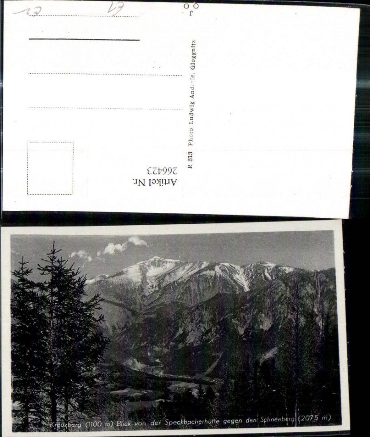 266423,Kreuzberg Blick v. d. Speckbacherhütte geg. d. Schneeberg