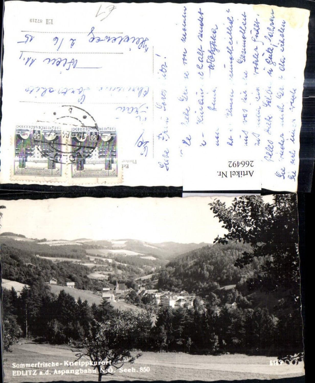 266492,Foto Ak Edlitz a. d. Aspangbahn Totale