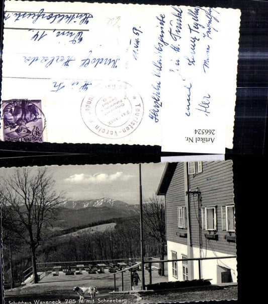 266524,Schutzhaus Waxeneck m. Schneeberg Hund b. Pernitz Puchberg a. Schneeberg