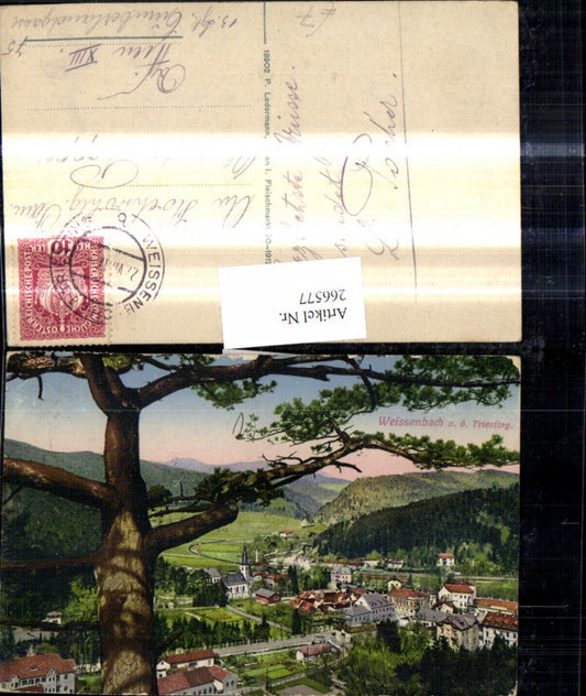 266577,Weissenbach a.d . Triesting Ansicht m. Baum i. Vordergrund