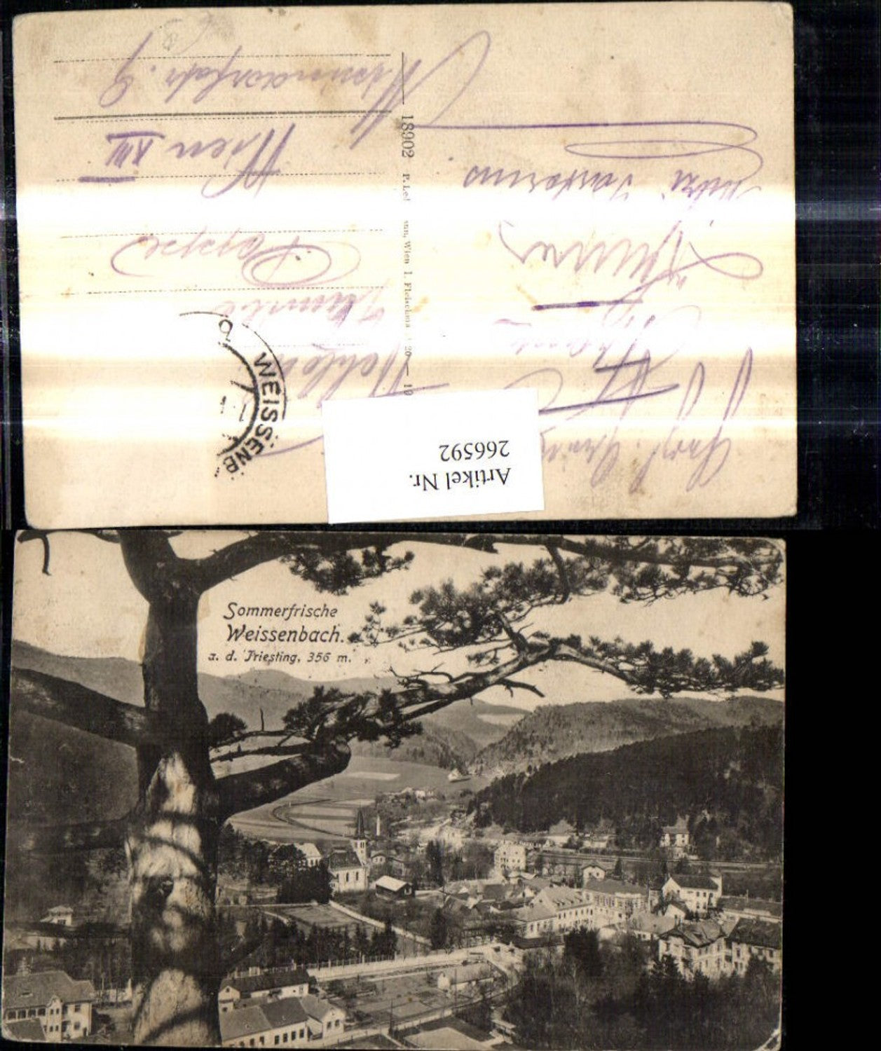 266592,Weissenbahn a. d. Triestung Baum i. Vordergrund